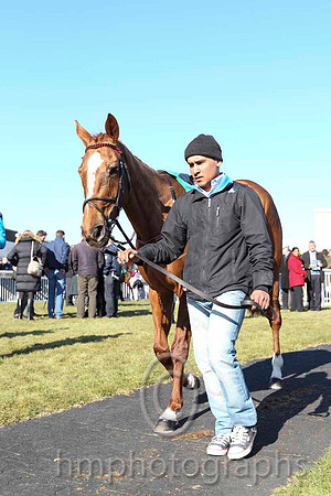 Parade Ring - CU2D6958-4