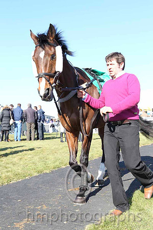 Parade Ring - CU2D6960-6