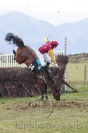 06 - She'll Tell Meda & J Cresswell - Fell (14, maroon, gold stars ) - FT8E0809-2