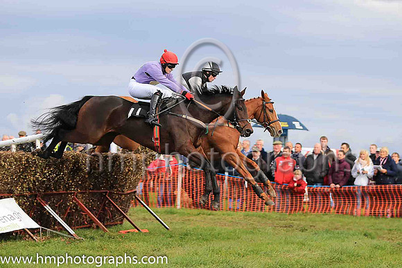 CAVIAR D'ALLEN (FR) and R James ( 11 , PURPLE,yellow diamond; purple sleeves; red cap ) Trainer: P.M.J. Doyle,, Owner : Mary Doyle