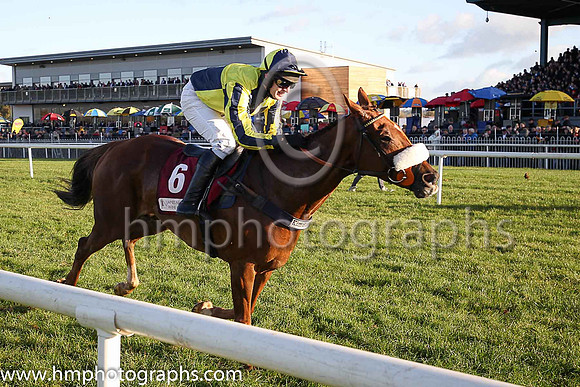 05th The Last Samuri and D Bass ( 6 , dark blue and yellow qtrd ) Trainer - K C Bailey , Owner - Paul  Clare Rooney