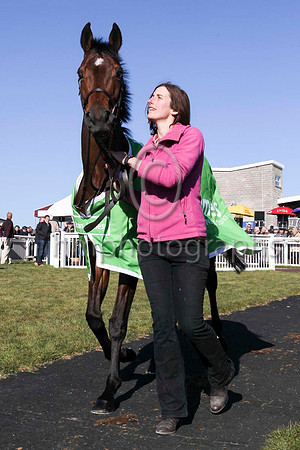 Hurricane Fly led by Gail Carlisle at Downpatrick Racecourse - CU2D6911-2