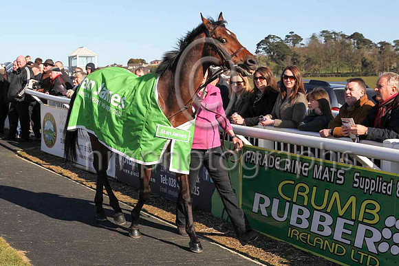 Hurricane Fly led by Gail Carlisle at Downpatrick Racecourse - CU2D6924-8