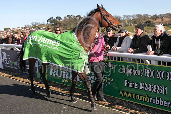 Hurricane Fly led by Gail Carlisle at Downpatrick Racecourse - CU2D6926-9
