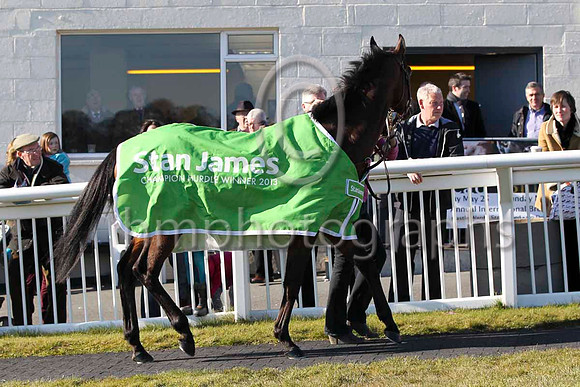 Hurricane Fly led by Gail Carlisle at Downpatrick Racecourse - FT8E2777-6