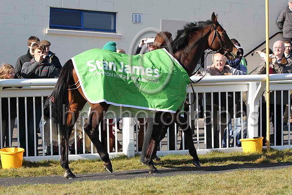 Hurricane Fly led by Gail Carlisle at Downpatrick Racecourse - FT8E2778-7