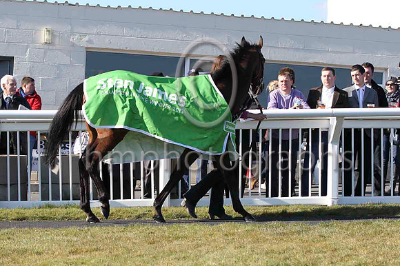 Hurricane Fly led by Gail Carlisle at Downpatrick Racecourse - - FT8E2780-10