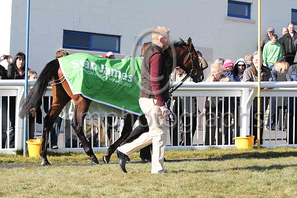 Hurricane Fly led by Gail Carlisle at Downpatrick Racecourse - FT8E2791-14