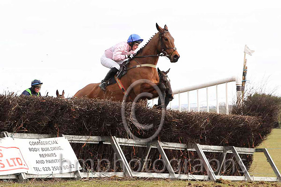 01 El Grande & J E Flynn - Winner (10, pink, white hoop) - CU2D6764-9