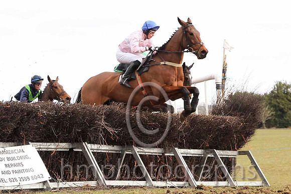 01 El Grande & J E Flynn - Winner (10, pink, white hoop)01 - CU2D6765-10