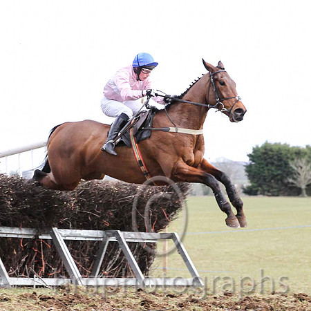 01 El Grande & J E Flynn - Winner (10, pink, white hoop) - CU2D6810-44