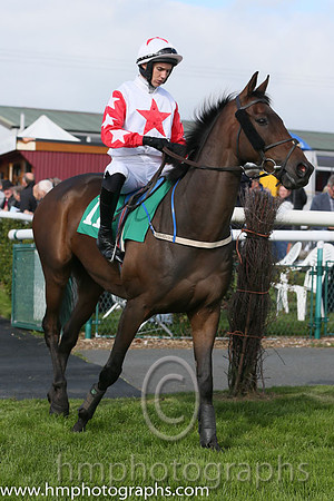 06th Presenting Julio ( 11 , white, red star ) and A.P. Heskin - Trainer : Denis W. Cullen - Owner : Alan McEvoy
