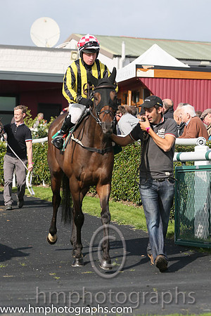 02nd You Can't Catch Me ( 1 , black and yellow stripes ) and P.F. Mangan - Trainer : Kieran Purcell - Owner : Ms. Elaine Purcell