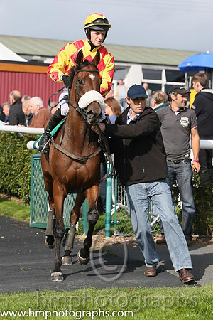 15th PU Idontdalaay ( 13 , royal blue, white armlets ) and D. Robinson (7) - Trainer : Henry de Bromhead - Owner : Miss Elizabeth Aldous