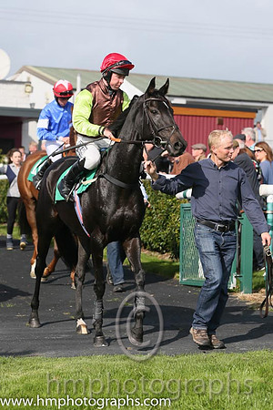 04th Carlyan ( 10 , brown, light green sleeves ) and A.E. Lynch - Trainer : Peter Casey - Owner : Miss M. McLoone
