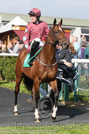 03rd Ullswater ( 4 , maroon, light blue spots on sleeves ) and K.M. Donoghue - Trainer : Gordon Elliott - Owner : Ten Men Syndicate