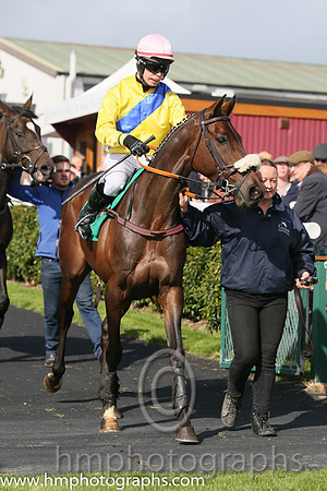 07th Urban Vic ( 2 , canary, blue sash ) and S.E. Butler (5) - Trainer : Seamus Fahey - Owner : James Cleary