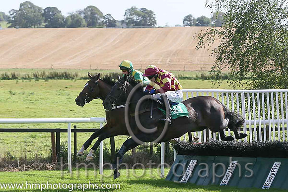 13th Sulki Rose ( 14 , yellow and maroon diamonds ) and G.N. Fox (3) - Trainer : H.Fitzpatrick - Owner : H.Fitzpatrick