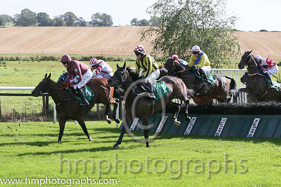 02nd You Can't Catch Me ( 1 , black and yellow stripes ) and P.F. Mangan - Trainer : Kieran Purcell - Owner : Ms. Elaine Purcell