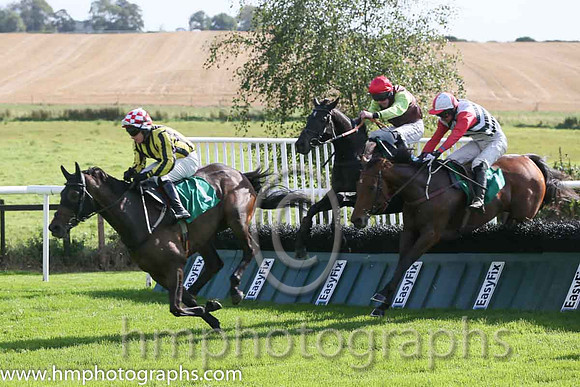 01st Urban Dusk ( 7 , white  black chevrons ) and D.R. Fox (3) - Trainer : Mark Michael McNiff - Owner : Sligo Racing Club