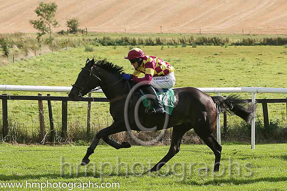 13th Sulki Rose ( 14 , yellow and maroon diamonds ) and G.N. Fox (3) - Trainer : H.Fitzpatrick - Owner : H.Fitzpatrick