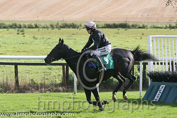 14th PU Fuego Negro ( 9 , black, pink star ) and D.E. Mullins - Trainer : A.L.T.Moore - Owner : Michael Mulholland