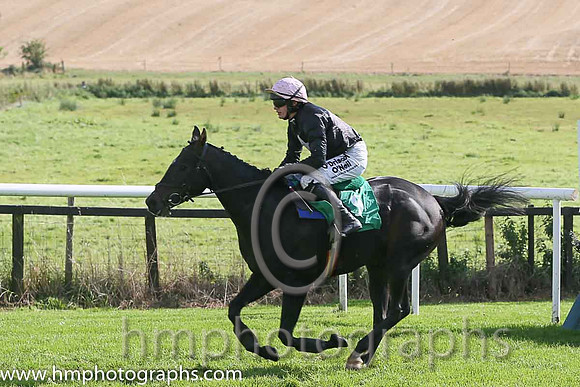 14th PU Fuego Negro ( 9 , black, pink star ) and D.E. Mullins - Trainer : A.L.T.Moore - Owner : Michael Mulholland