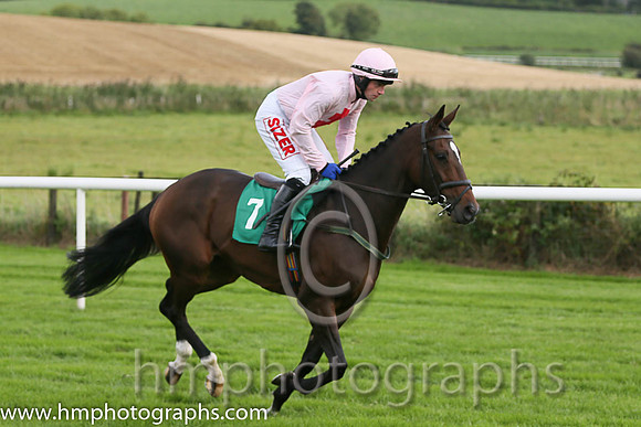 04th Sam King ( 7 , pink, red cross ) and J.J. Burke - Trainer : T.M. Walsh - Owner : W.Treacy