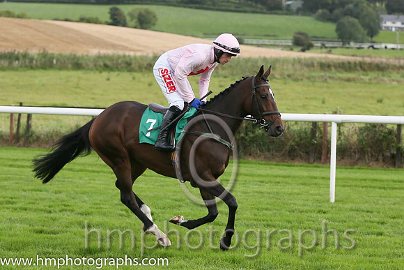 04th Sam King ( 7 , pink, red cross ) and J.J. Burke - Trainer : T.M. Walsh - Owner : W.Treacy