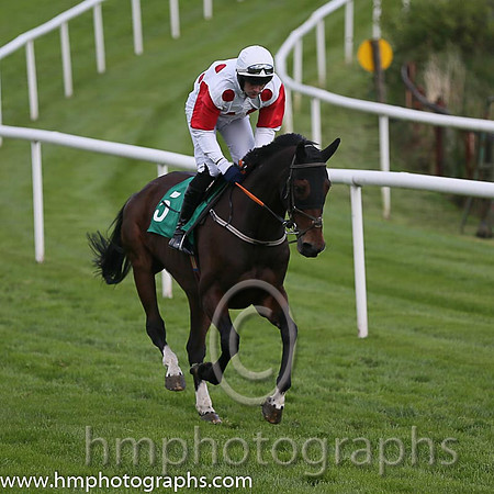 08th Gabriel Brandy ( 5 , light blue and maroon hoops ) and B.M. Cash - Trainer : Robert Alan Hennessy - Owner : W. Hennessy