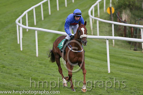 03rd The Rite Article ( 9 , royal blue, red disc ) and S.E. Butler (5) - Trainer : Jarlath P.Fahey - Owner : Mrs Suzanne Fahey