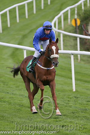 03rd The Rite Article ( 9 , royal blue, red disc ) and S.E. Butler (5) - Trainer : Jarlath P.Fahey - Owner : Mrs Suzanne Fahey
