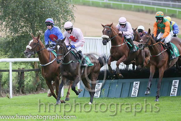 04th Sam King ( 7 , pink, red cross ) and J.J. Burke - Trainer : T.M. Walsh - Owner : W.Treacy