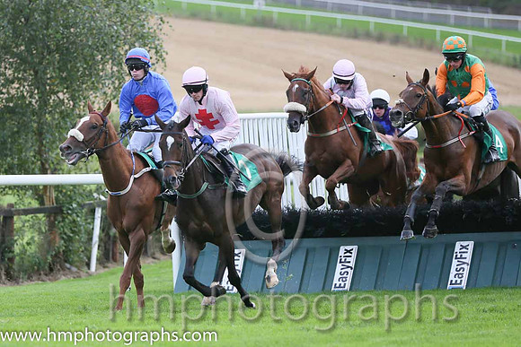 03rd The Rite Article ( 9 , royal blue, red disc ) and S.E. Butler (5) - Trainer : Jarlath P.Fahey - Owner : Mrs Suzanne Fahey