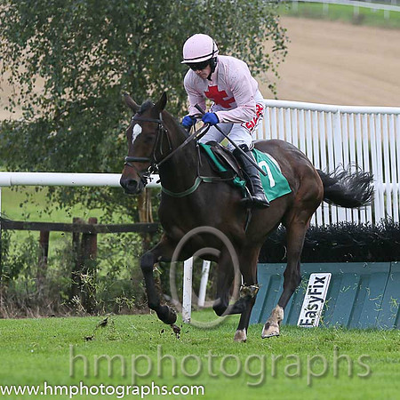 04th Sam King ( 7 , pink, red cross ) and J.J. Burke - Trainer : T.M. Walsh - Owner : W.Treacy