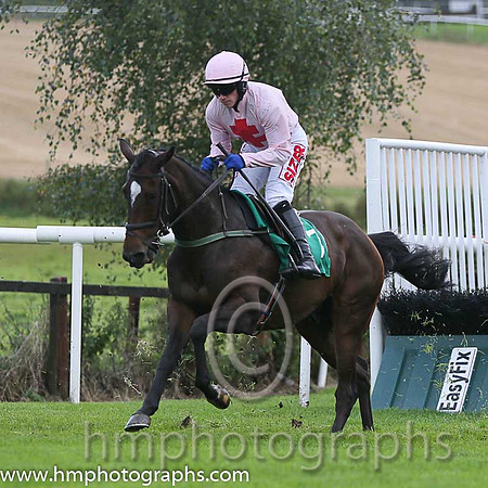 04th Sam King ( 7 , pink, red cross ) and J.J. Burke - Trainer : T.M. Walsh - Owner : W.Treacy