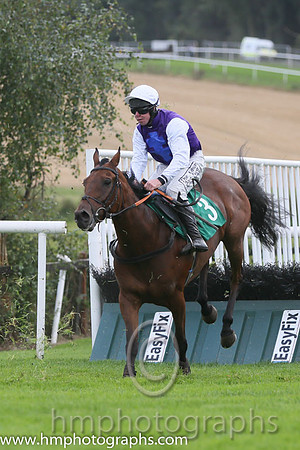 08th Buckeye Shan ( 3 , purple, royal blue cross ) and A.E. Lynch - Trainer : Vincent Laurence Halley - Owner : M. Allen
