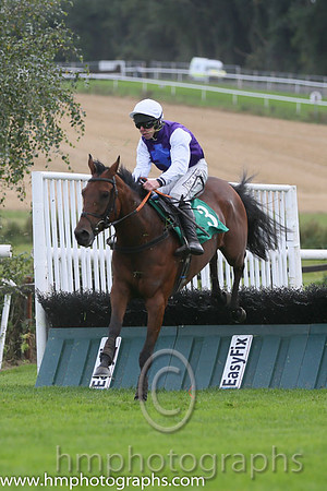 08th Buckeye Shan ( 3 , purple, royal blue cross ) and A.E. Lynch - Trainer : Vincent Laurence Halley - Owner : M. Allen