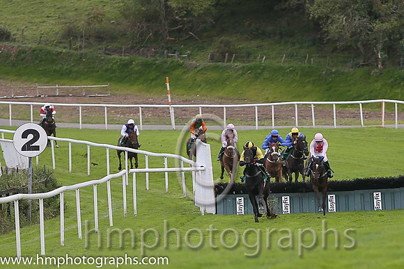01st Tigroney ( 1 , black  yellow diabolo ) and Donagh Meyler (7) - Trainer : Miss Elizabeth Doyle - Owner : P.Bradford