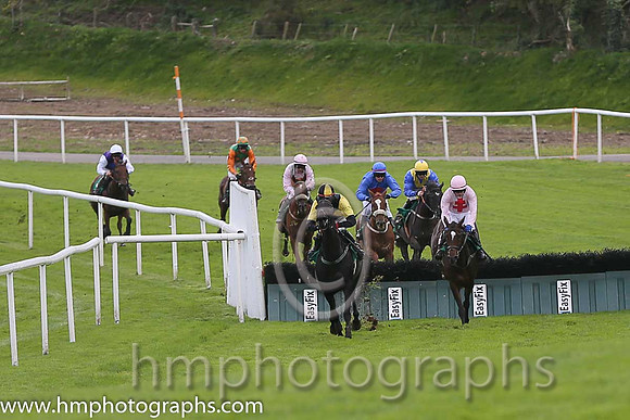 01st Tigroney ( 1 , black  yellow diabolo ) and Donagh Meyler (7) - Trainer : Miss Elizabeth Doyle - Owner : P.Bradford