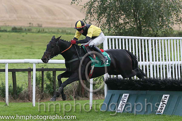 01st Tigroney ( 1 , black  yellow diabolo ) and Donagh Meyler (7) - Trainer : Miss Elizabeth Doyle - Owner : P.Bradford