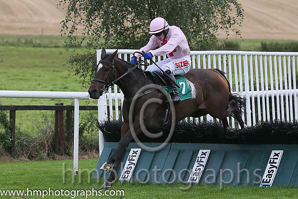 04th Sam King ( 7 , pink, red cross ) and J.J. Burke - Trainer : T.M. Walsh - Owner : W.Treacy