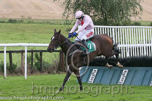 04th Sam King ( 7 , pink, red cross ) and J.J. Burke - Trainer : T.M. Walsh - Owner : W.Treacy