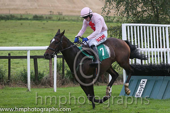 04th Sam King ( 7 , pink, red cross ) and J.J. Burke - Trainer : T.M. Walsh - Owner : W.Treacy