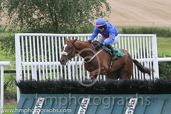 03rd The Rite Article ( 9 , royal blue, red disc ) and S.E. Butler (5) - Trainer : Jarlath P.Fahey - Owner : Mrs Suzanne Fahey