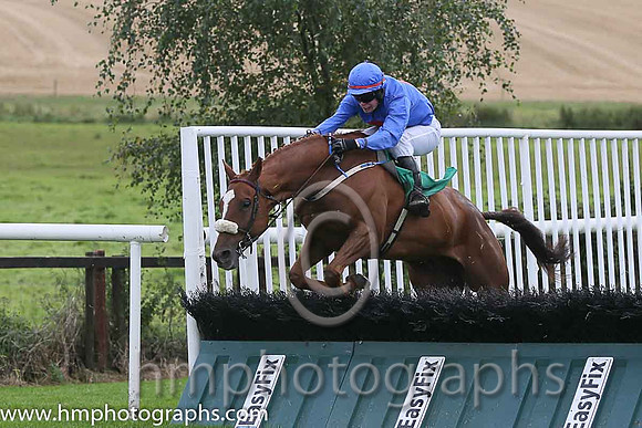03rd The Rite Article ( 9 , royal blue, red disc ) and S.E. Butler (5) - Trainer : Jarlath P.Fahey - Owner : Mrs Suzanne Fahey