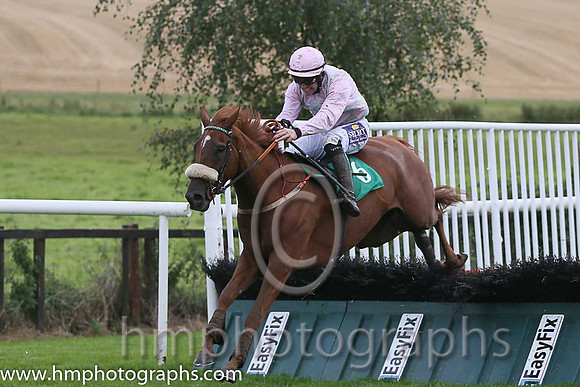 06th Red Jacket ( 6 , pink and grey diamonds ) and B.T. O'Connell - Trainer : David Harry Kelly - Owner : T Egan