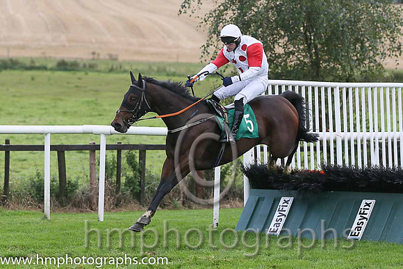 07th Macs Bach ( 5 , white, red spots ) and M.J. Ferris - Trainer : Ms.M.Flynn - Owner : Santry Power Walsh Syndicate