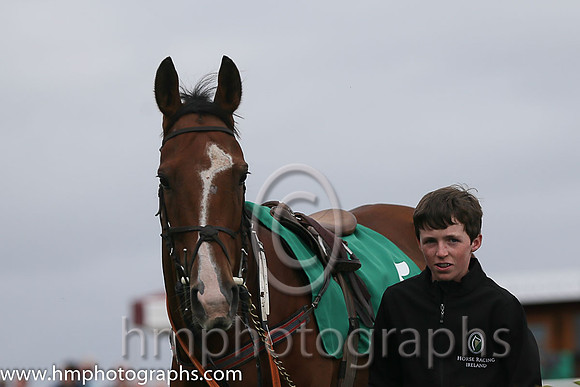 11th Vinniespride ( 5 , red, red and white hooped sleeves ) and D.R. Fox (3) - Trainer : Mark Michael McNiff - Owner : Vincent M. Foley