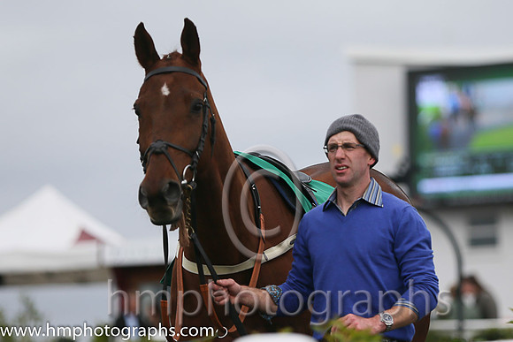 Downpatrick Parade Ring